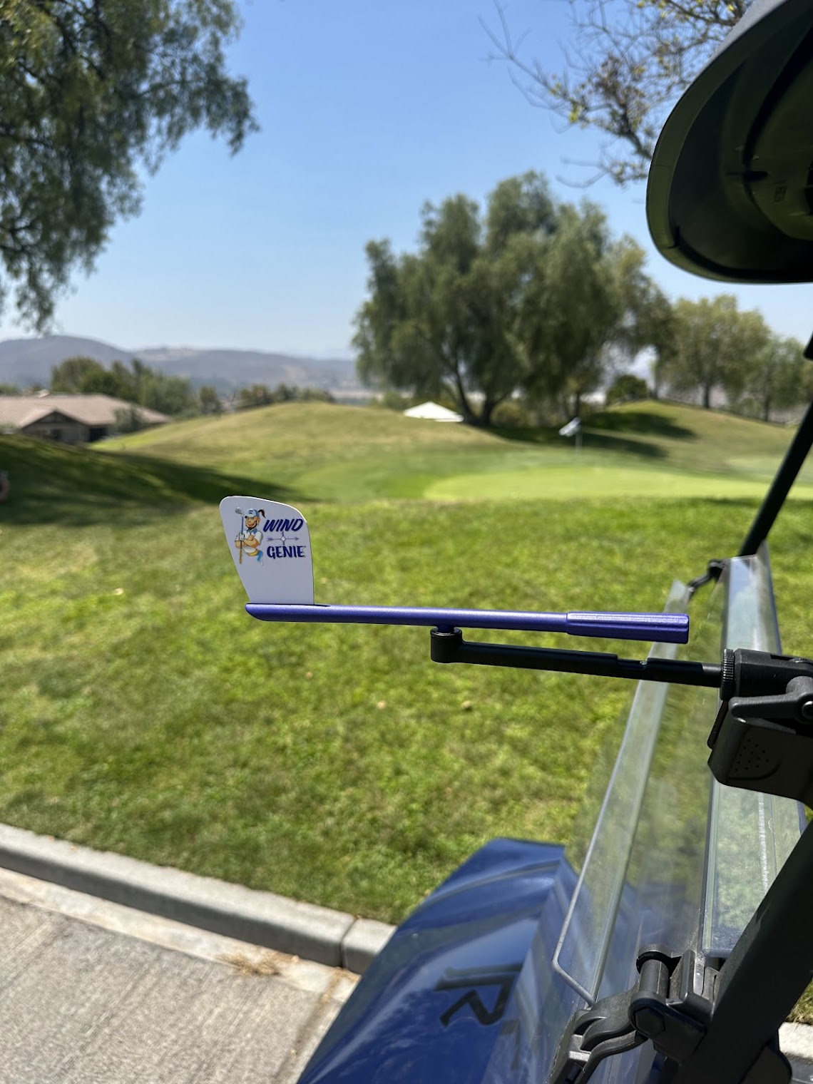 Wind Genie Golf Cart Wind Vane Weather Vane Wind Pointer