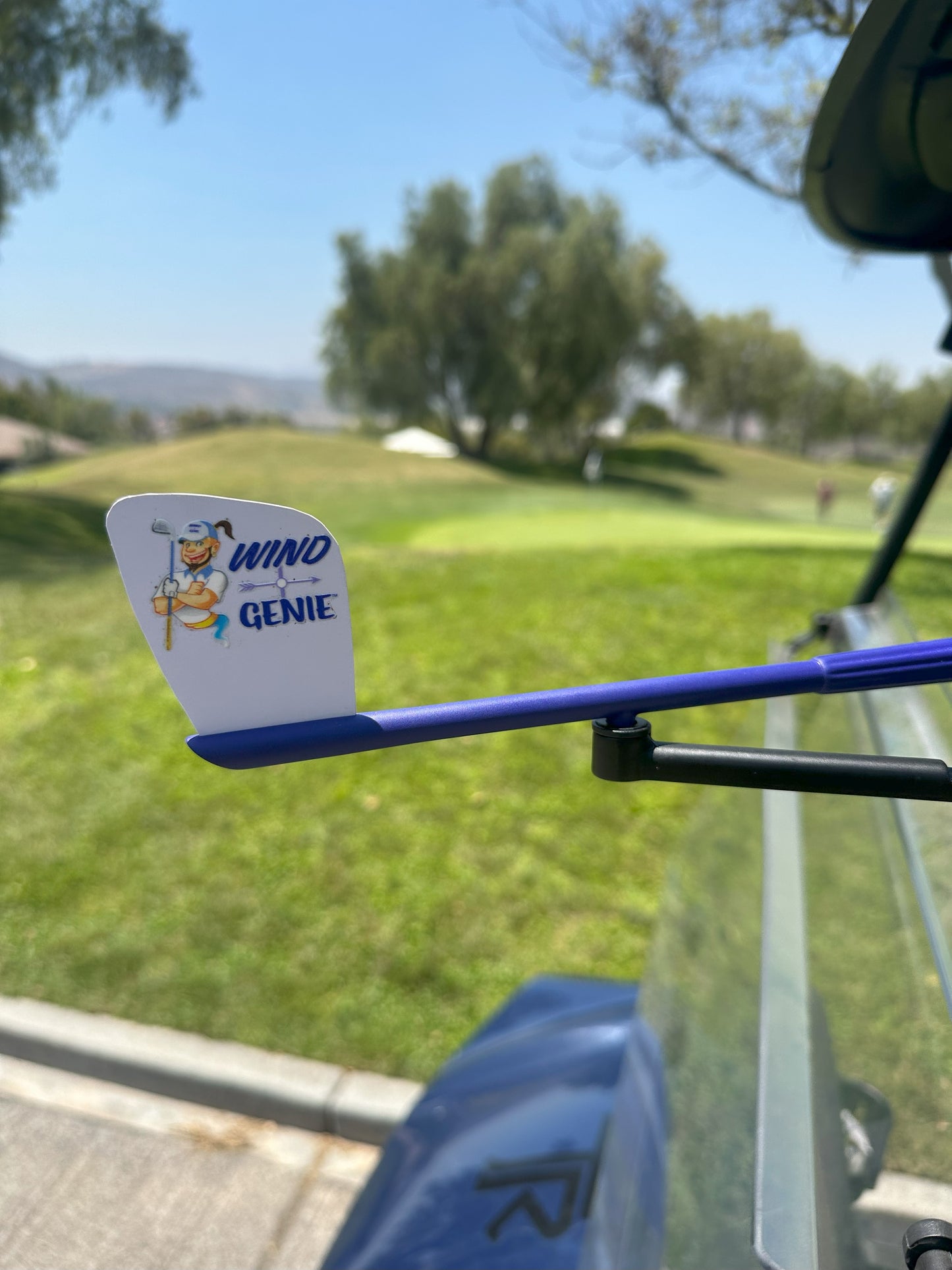 Wind Genie Golf Cart Wind Vane Weather Vane Wind Pointer