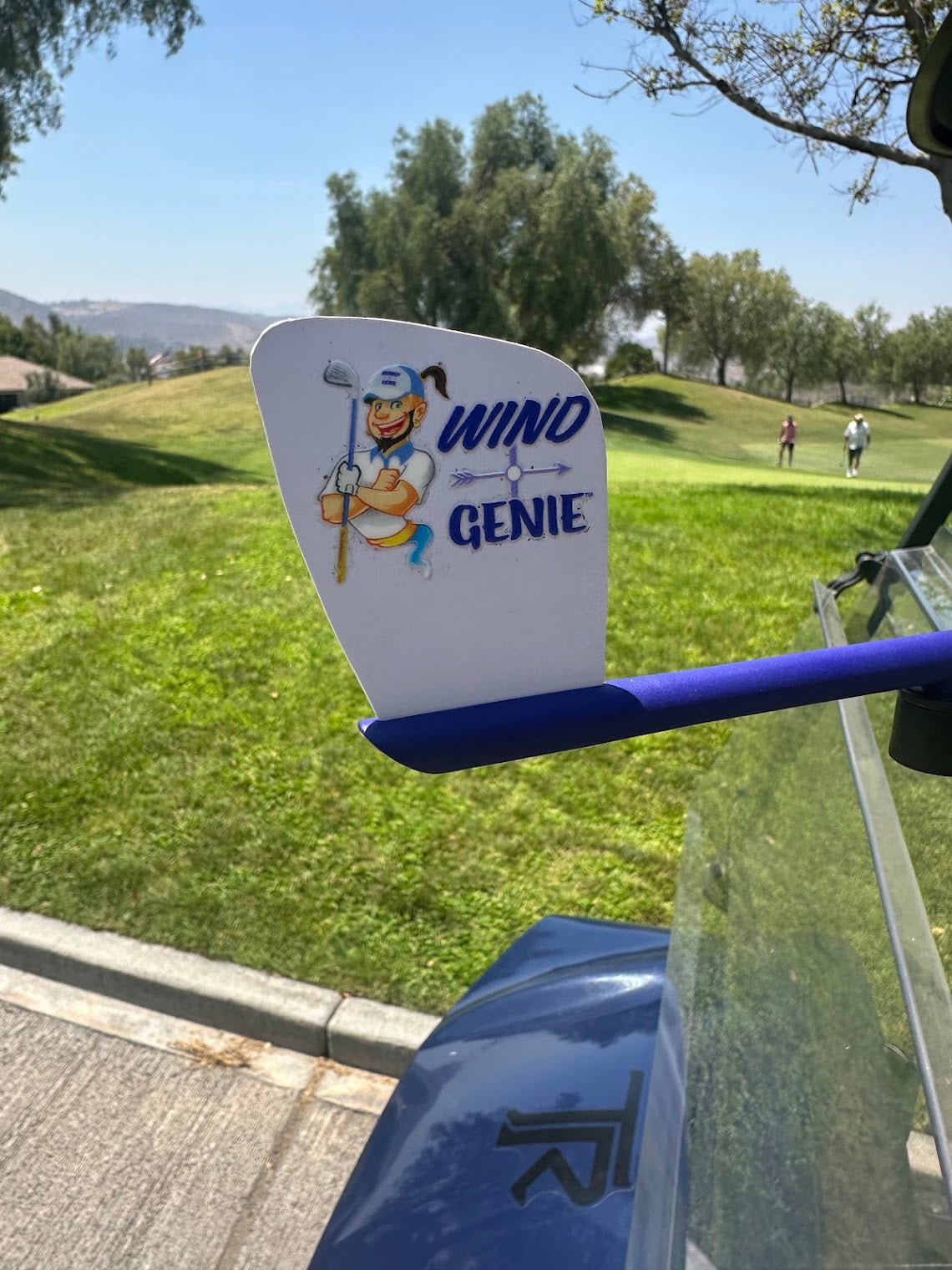 Wind Genie Golf Cart Wind Vane Weather Vane Wind Pointer